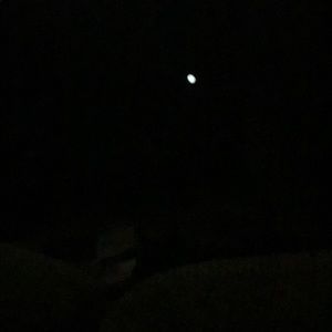 Meet your Posher, Brieanna